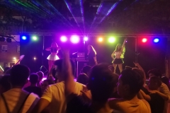gogos disco movil