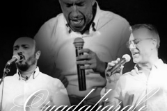 Guadaljarafe