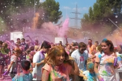 festa holi