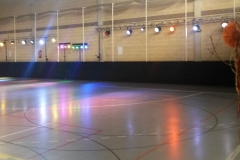 patinatge-scaled