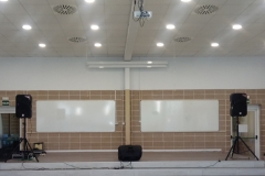 presentacio_salo