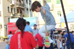 trapezi_5
